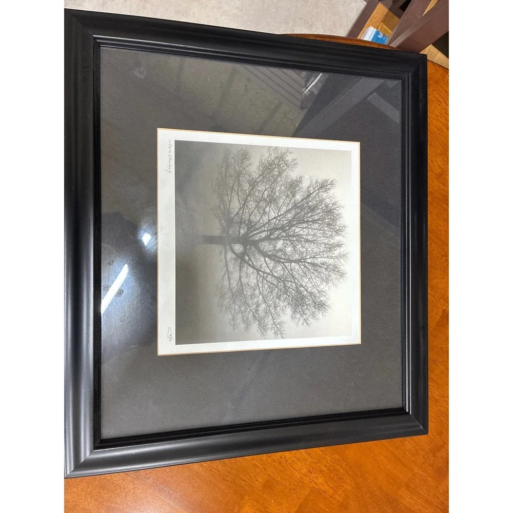 Set of 3 Framed Landscape Tree Photos Awakening Riverview Misty Fog Wall Art